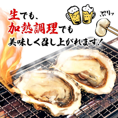 岩手県産 殻付き牡蠣 無選別訳あり品（冷凍・生食可）約3kg【支援金額300円】