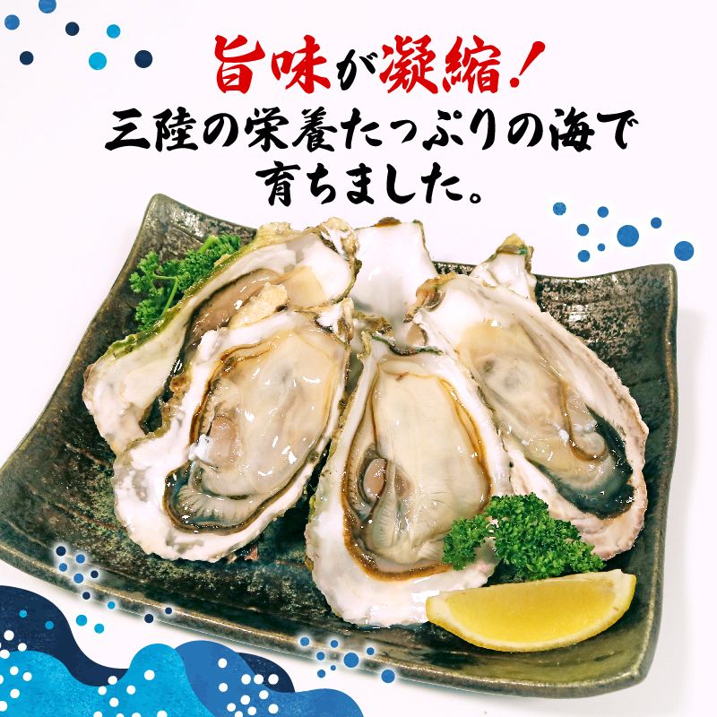 岩手県産 殻付き牡蠣 無選別訳あり品（冷凍・生食可）約3kg【支援金額300円】