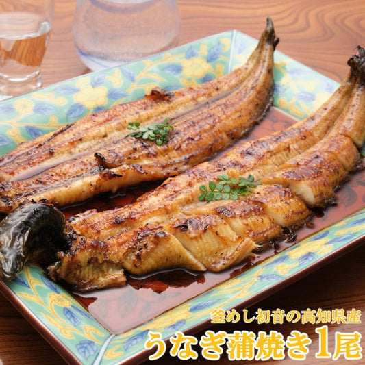 【初音】高知県産うなぎ蒲焼き1尾