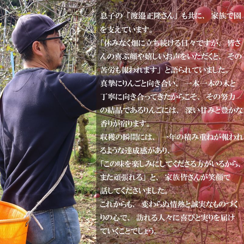 【12/24までの注文で年内配送】福岡県産 川崎町観光りんご園「サンふじ」訳あり品 約3kg／5kg