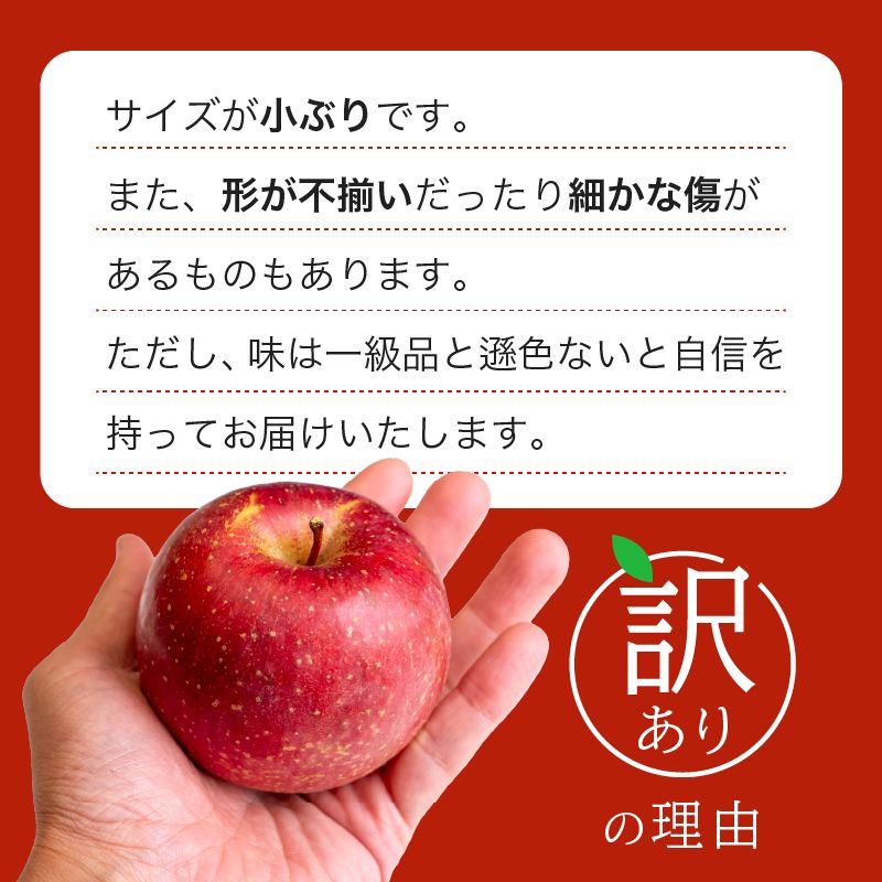 【12/24までの注文で年内配送】福岡県産 川崎町観光りんご園「サンふじ」訳あり品 約3kg／5kg