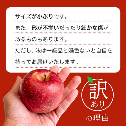 【12/24までの注文で年内配送】福岡県産 川崎町観光りんご園「サンふじ」訳あり品 約3kg／5kg