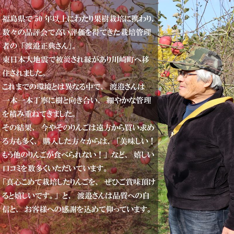 【12/24までの注文で年内配送】福岡県産 川崎町観光りんご園「サンふじ」良品 約3kg／5kg／10kg