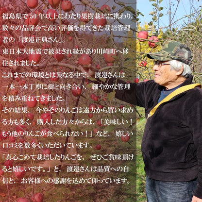 【12/24までの注文で年内配送】福岡県産 川崎町観光りんご園「サンふじ」良品 約3kg／5kg／10kg