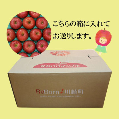 【12/24までの注文で年内配送】福岡県産 川崎町観光りんご園「サンふじ」良品 約3kg／5kg／10kg