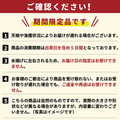 【大船渡から直送】生さんま 訳あり約2kg【支援額300円】