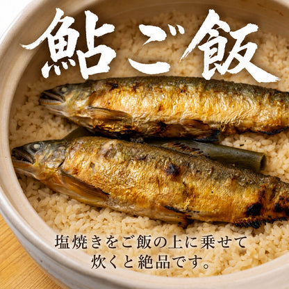 【高知県唯一の養殖アユ】物部川の地下水で育てたアユ 冷蔵 1kg・2kg【カネミツ養鮎】