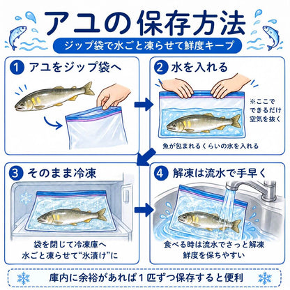 【高知県唯一の養殖アユ】物部川の地下水で育てたアユ 冷蔵 1kg・2kg【カネミツ養鮎】
