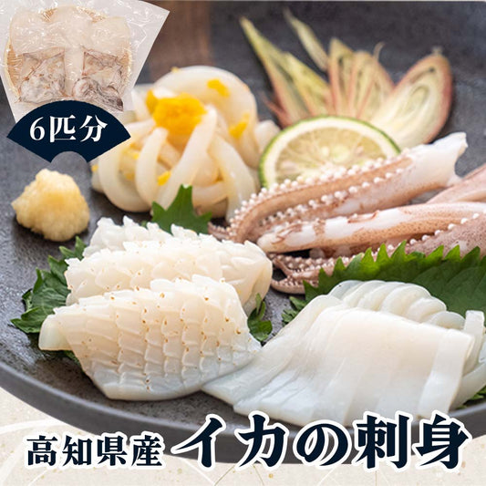 【高知県・加領郷産】スルメイカ刺身用６匹分
