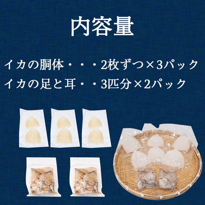 【高知県・加領郷産】スルメイカ刺身用６匹分