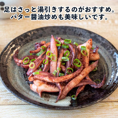 【高知県・加領郷産】スルメイカ刺身用６匹分