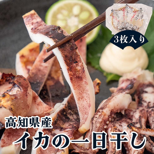 【高知県・加領郷産】スルメイカの一日干し3枚