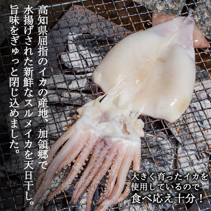 【高知県・加領郷産】スルメイカの一日干し3枚