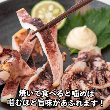 【高知県・加領郷産】スルメイカの一日干し3枚