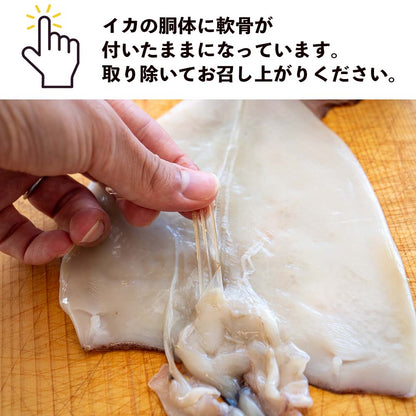 【高知県・加領郷産】スルメイカの一日干し3枚