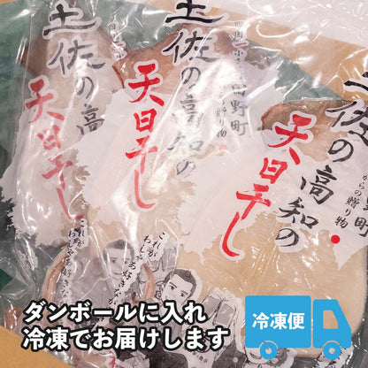 【高知県・加領郷産】スルメイカの一日干し3枚