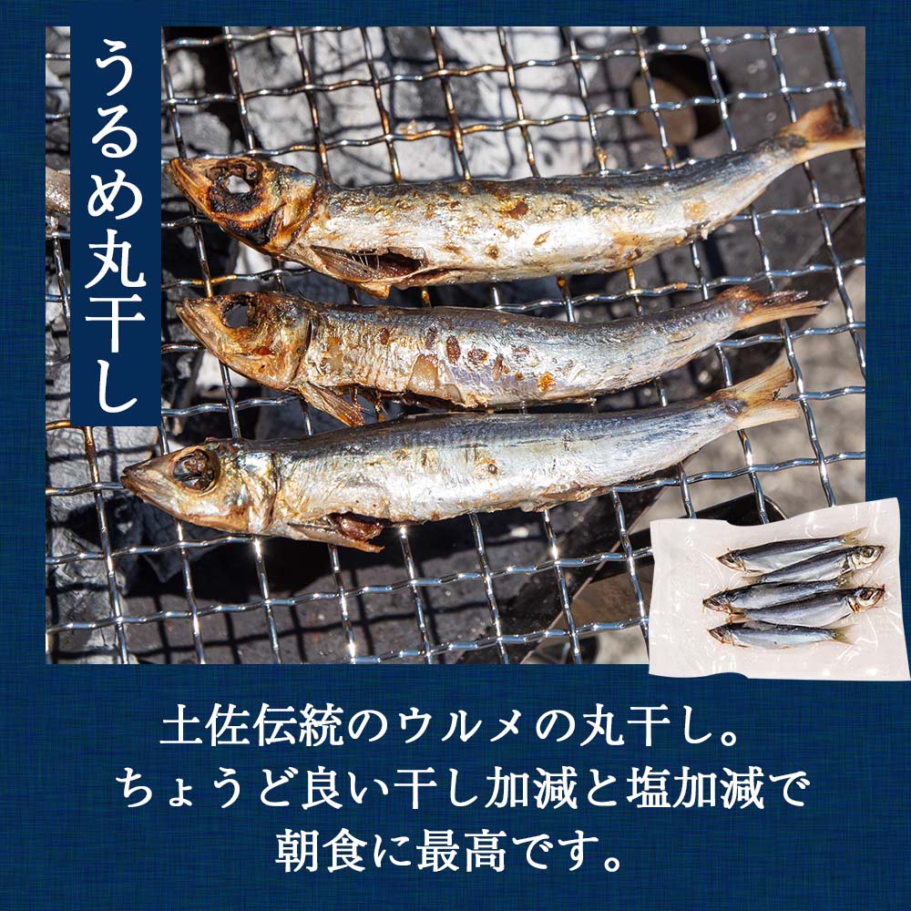 魚屋厳選！土佐の干物Aセット【アジ・メヒカリ・うるめ・シイラ・ちりめん】