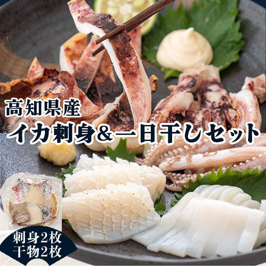 【高知県・加領郷産】スルメイカ刺身用2匹分＆一日干し2枚セット