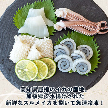 【高知県・加領郷産】スルメイカ刺身用2匹分＆一日干し2枚セット