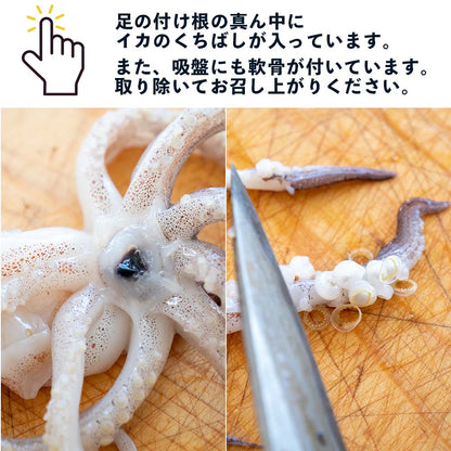 【高知県・加領郷産】スルメイカ刺身用2匹分＆一日干し2枚セット
