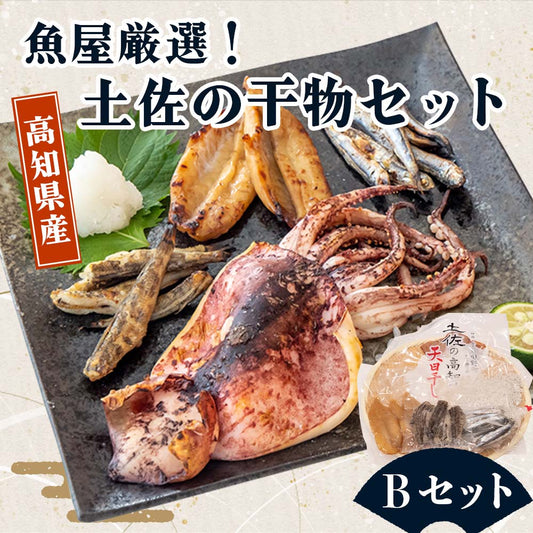 魚屋厳選！土佐の干物Bセット【イカ１日干し・メヒカリ・フグ・カタクチイワシ・ちりめん】