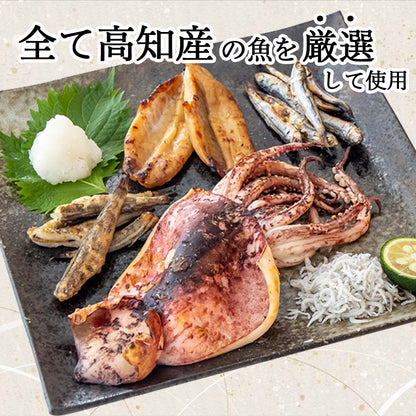 魚屋厳選！土佐の干物Bセット【イカ１日干し・メヒカリ・フグ・カタクチイワシ・ちりめん】