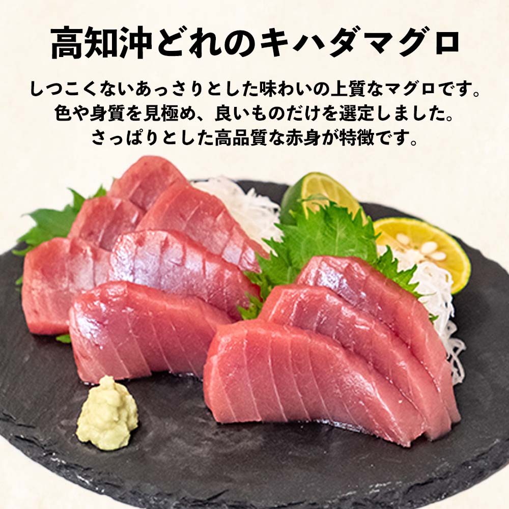 土佐沖どれ　キハダマグロ刺身用　冷凍ブロック