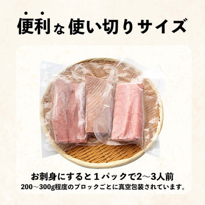 土佐沖どれ　キハダマグロ刺身用　冷凍ブロック