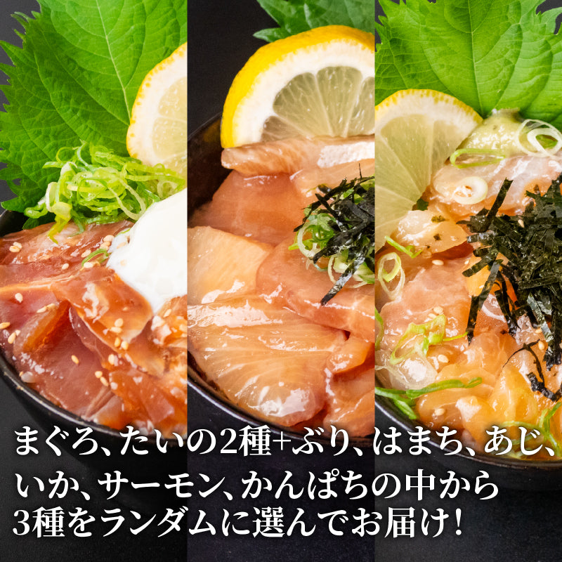 魚屋の漬け丼 計10パック