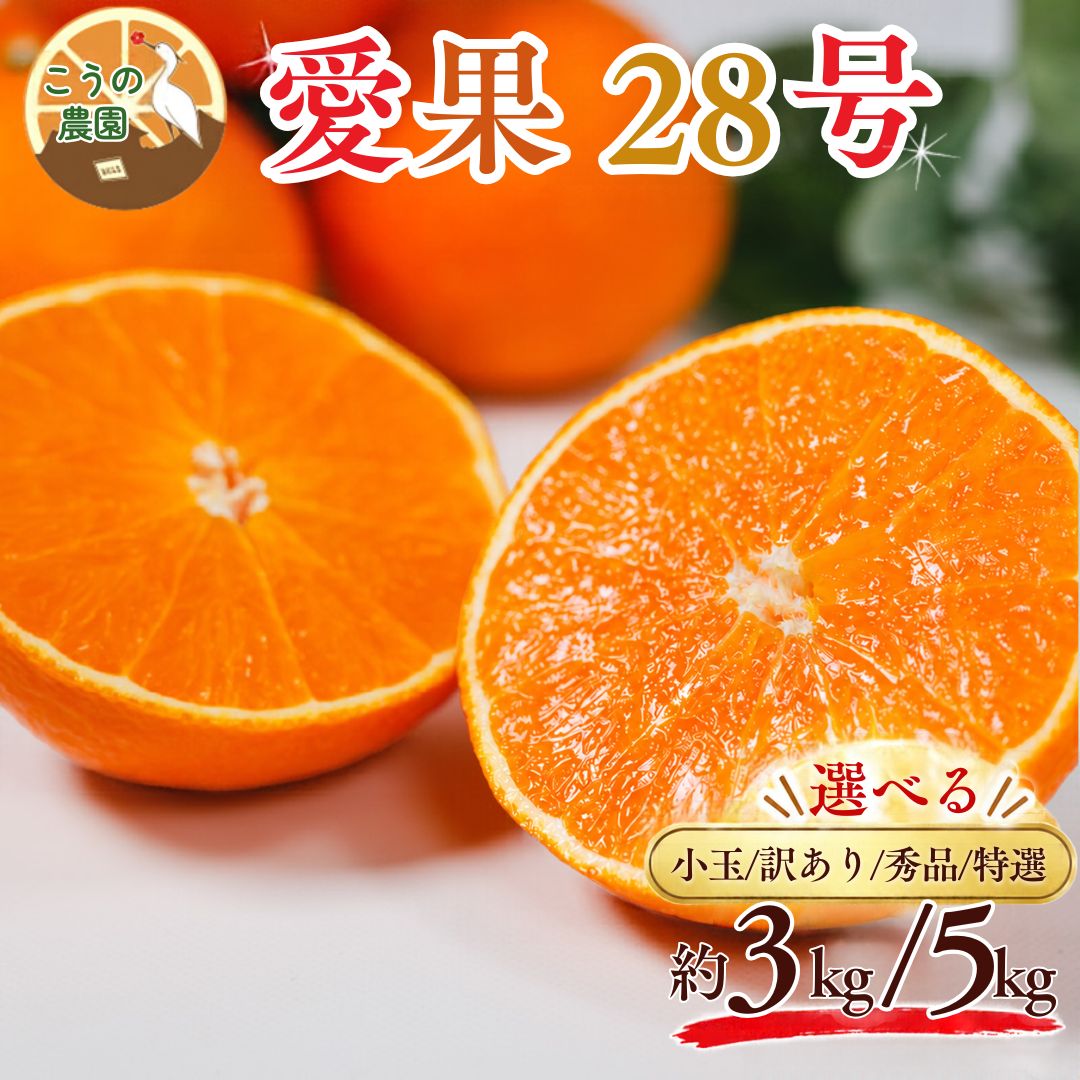 【愛媛県産】みかん 愛果28号 3kg/5kg【小玉/訳あり/秀品/特選から選択可】