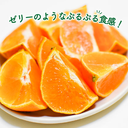 【愛媛県産】みかん 愛果28号 3kg/5kg【小玉/訳あり/秀品/特選から選択可】