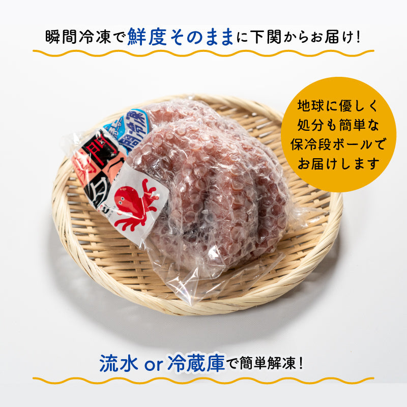 下関産マダコ「関門たこ」丸ッと１杯（ボイル済み）