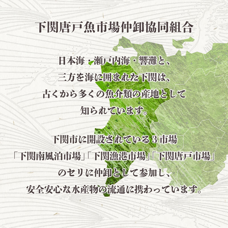 あんこう鍋セット【鮮魚】