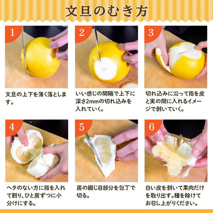 【今季終了】土佐文旦 家庭用 10kg【高知県須崎市・明神果樹園】【柑橘】