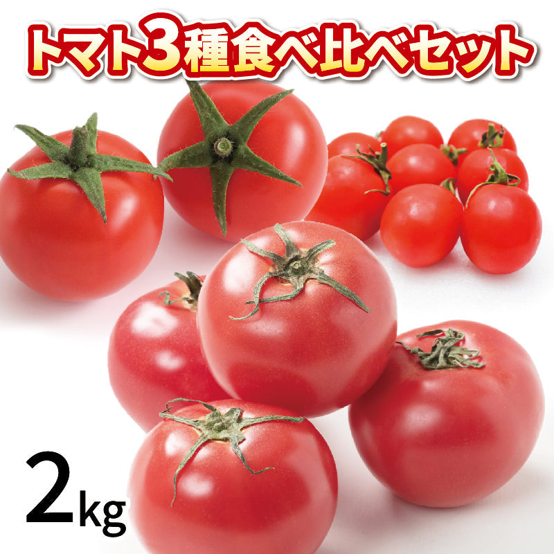 熊本産トマト16㎏ 熊本県産 トマト 等級A・L〜2Lサイズ（16〜20玉入） 約4kg