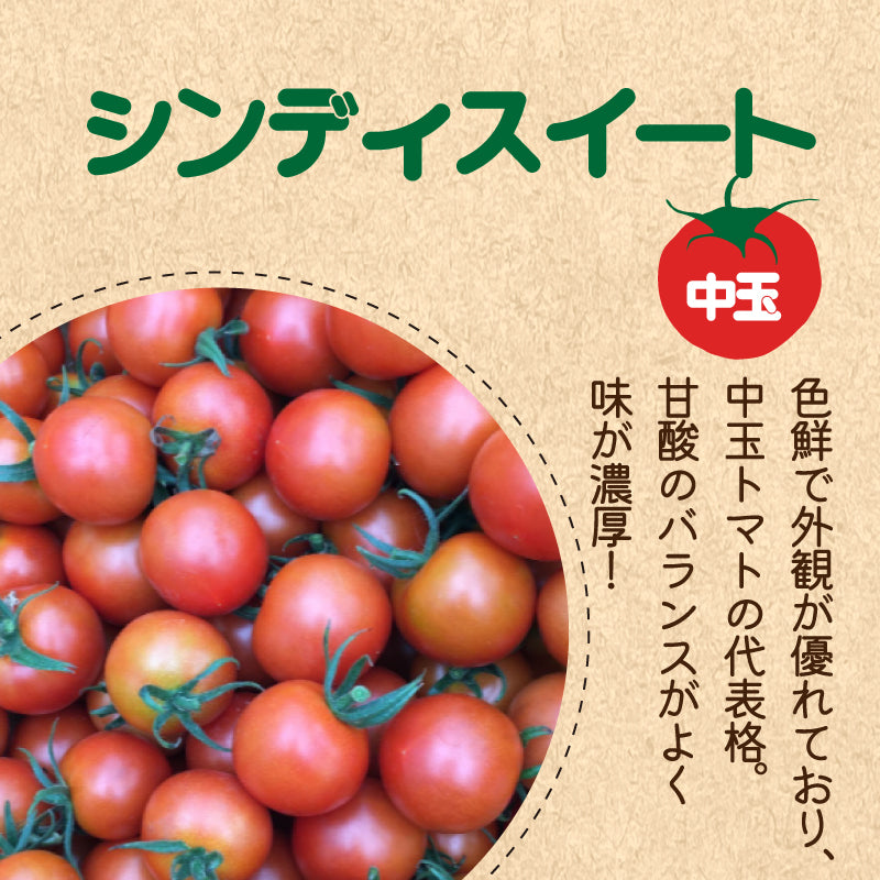 フルーツトマト食べ比べセット 楽天市場】国内産 フルーツトマト食べ比べセット 3~5種類 15個入