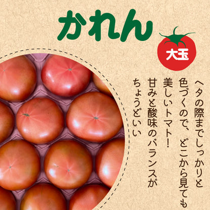 徳島県・阿波市産 トマト3種食べ比べセット 2kg【MKファーム】