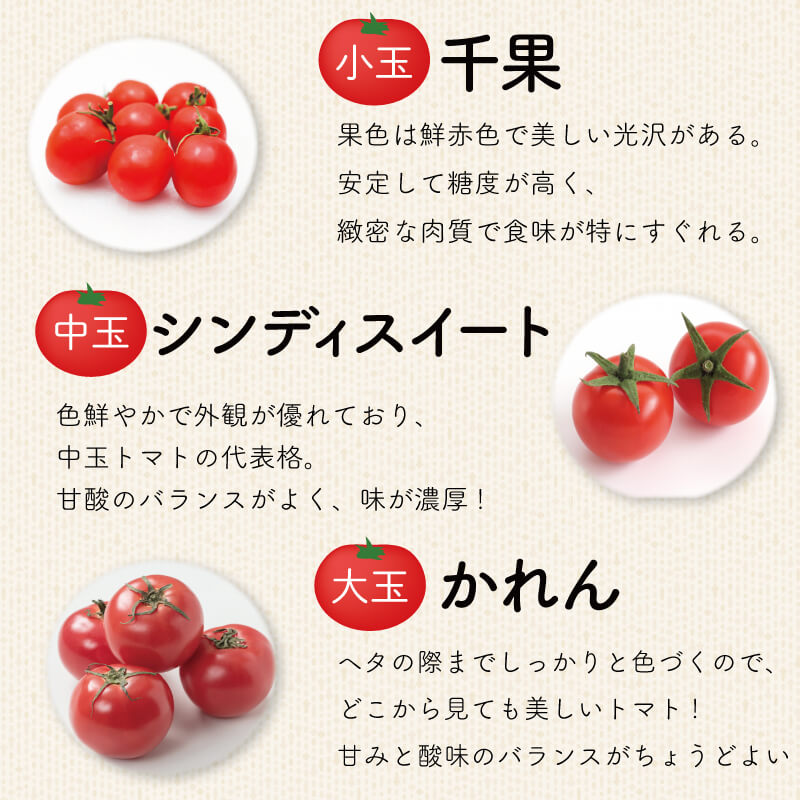 徳島県・阿波市産 トマト3種食べ比べセット 4kg【MKファーム】