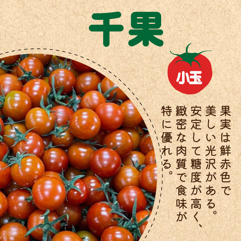 徳島県・阿波市産 トマト3種食べ比べセット 4kg【MKファーム】