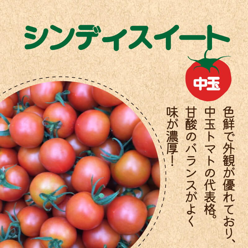 徳島県・阿波市産 トマト3種食べ比べセット 4kg【MKファーム】