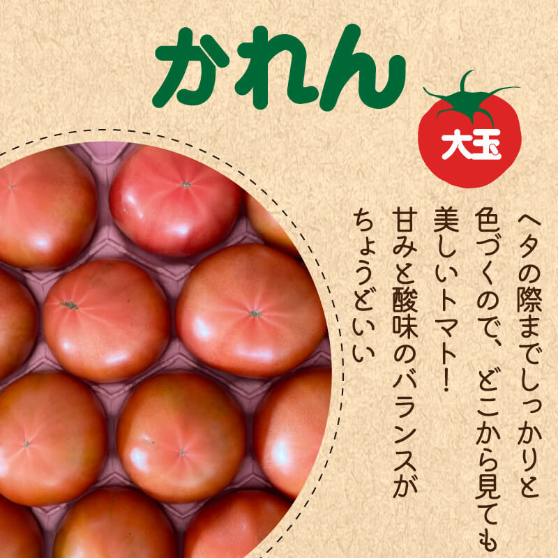 今井アレクサンドル　トマト③ 徳島県・阿波市産 トマト3種食べ比べセット 4kg【MKファーム