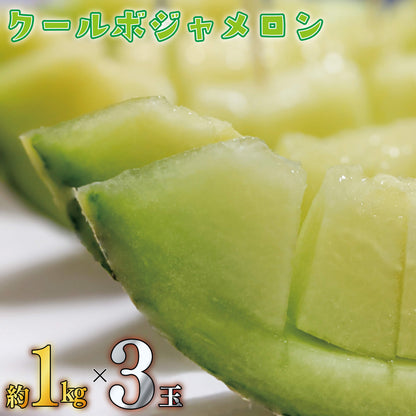【6月下旬より出荷予定】クールボジャメロン 約1kg×3玉 計3kg 【阿波市・MKファーム】