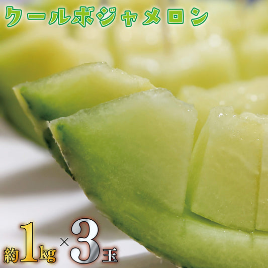 【6月下旬より出荷予定】クールボジャメロン 約1kg×3玉 計3kg 【阿波市・MKファーム】