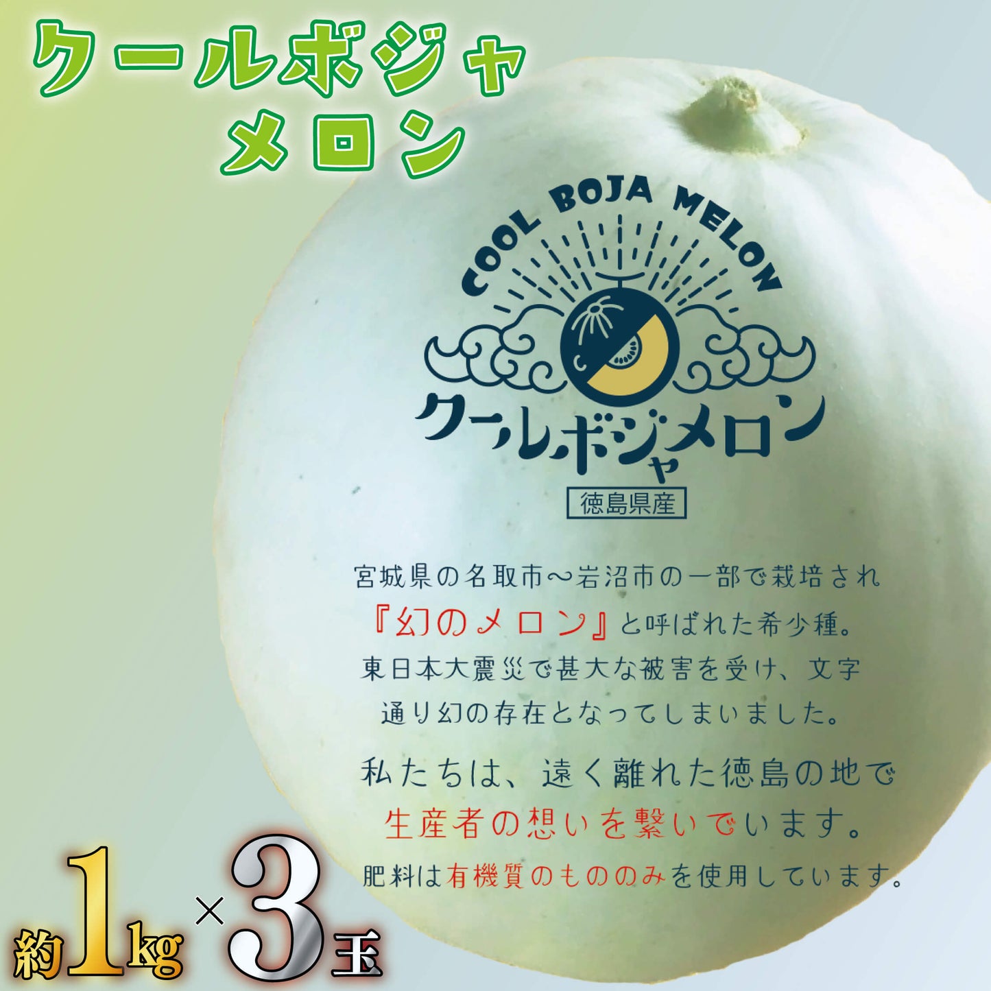 【6月下旬より出荷予定】クールボジャメロン 約1kg×3玉 計3kg 【阿波市・MKファーム】