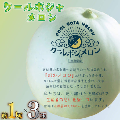 【6月下旬より出荷予定】クールボジャメロン 約1kg×3玉 計3kg 【阿波市・MKファーム】