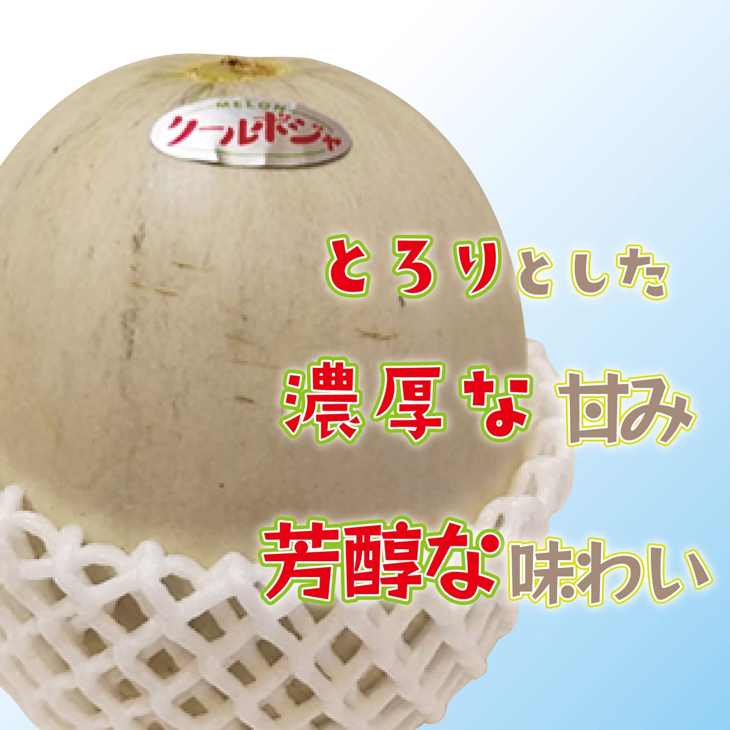 【6月下旬より出荷予定】クールボジャメロン 約1kg×3玉 計3kg 【阿波市・MKファーム】