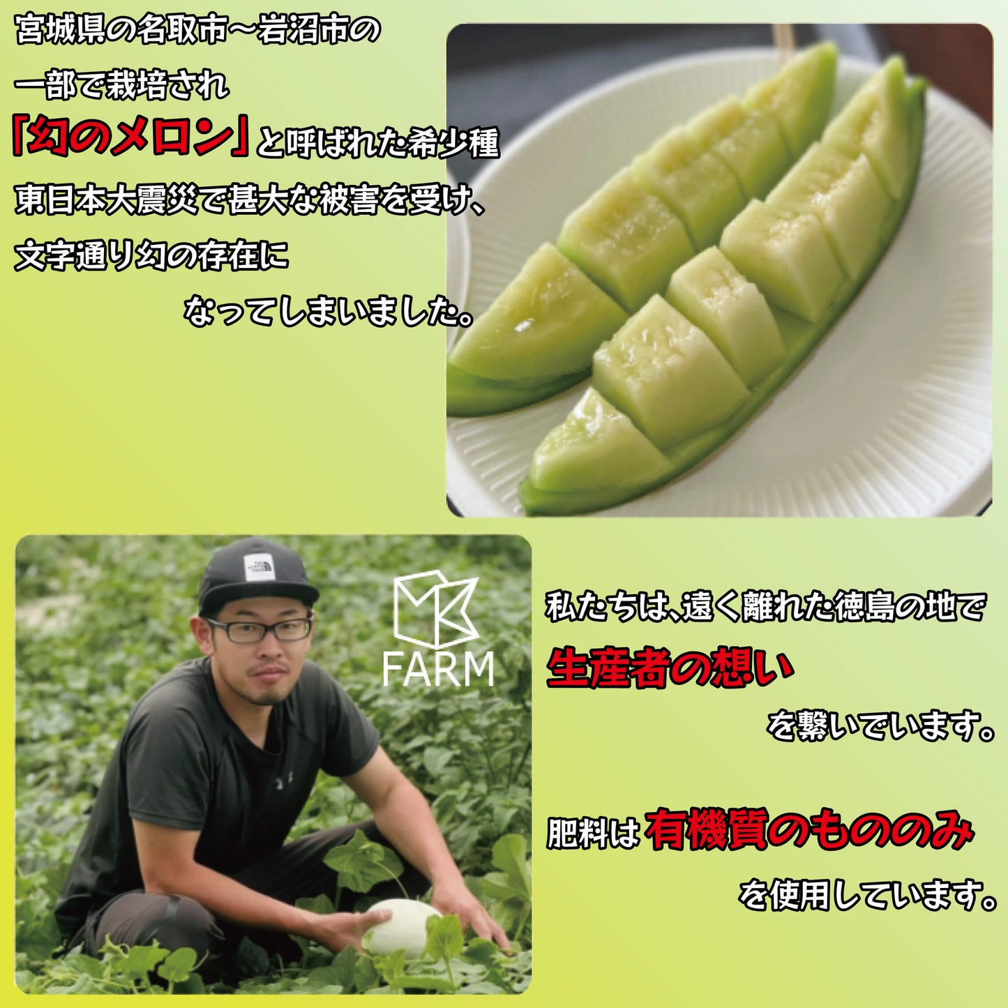 【6月下旬より出荷予定】クールボジャメロン 約1kg×3玉 計3kg 【阿波市・MKファーム】