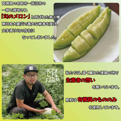 【6月下旬より出荷予定】クールボジャメロン 約1kg×3玉 計3kg 【阿波市・MKファーム】