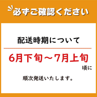 【6月下旬より出荷予定】クールボジャメロン 約1kg×3玉 計3kg 【阿波市・MKファーム】