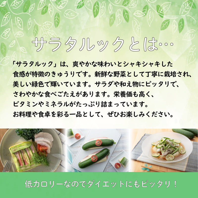【徳島・阿波市産】ミニきゅうり「サラタルック」 250g（4〜7本）×10袋 計2.5kg【MKファーム】